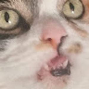 Meet your Posher, Private youtube